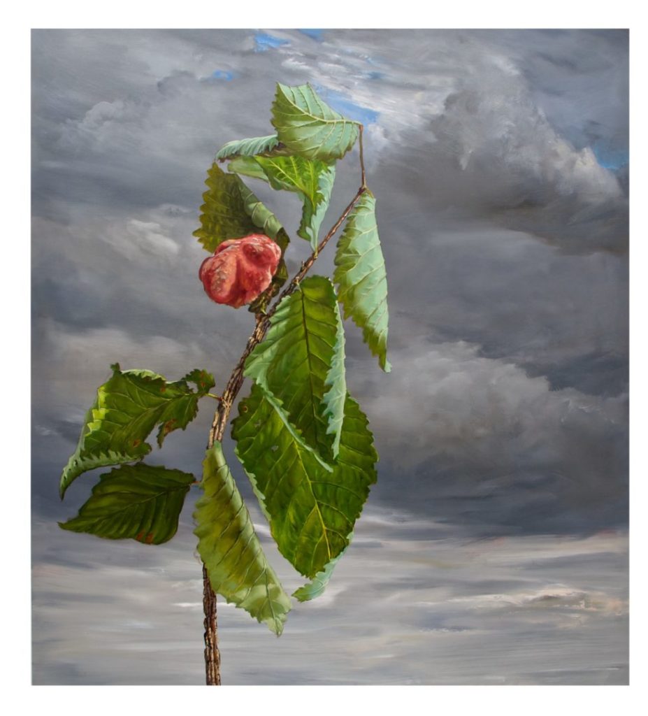 Julian Perry, Elm and Blue Aphid Gall, 2015 © Julian Perry c/o Mascalls Gallery
